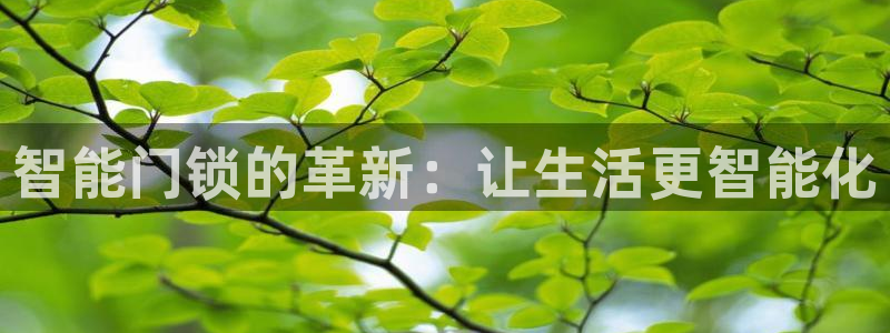 开丰娱乐网站