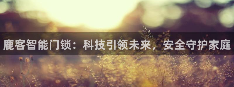 开丰娱乐靠谱吗：鹿客智能门锁：科技引领未来，安全守护家庭