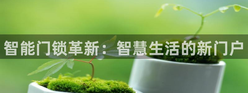 开丰娱乐平台登录网址：智能门锁革新：智慧生活的新门户