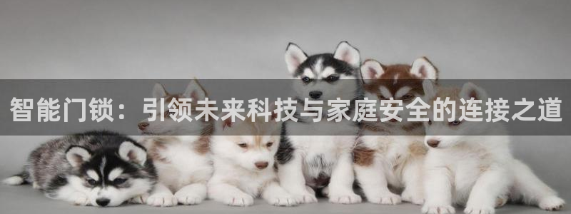 开丰娱乐登入地址是什么