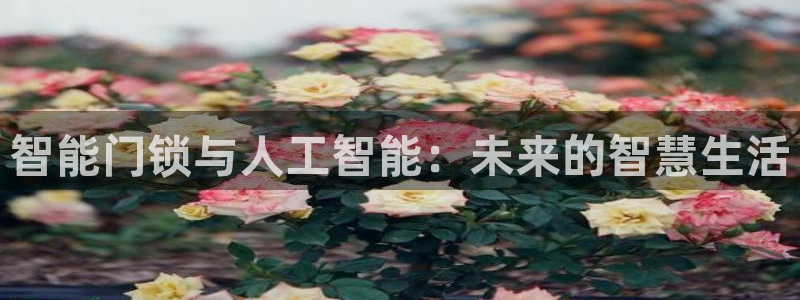 开丰娱乐平台提现失败