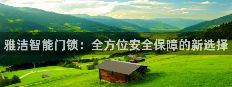 开丰娱乐乙833_43：雅洁智能门锁：全方位安全保障的新选择