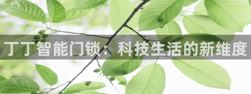 开丰娱乐网站：丁丁智能门锁：科技生活的新维度