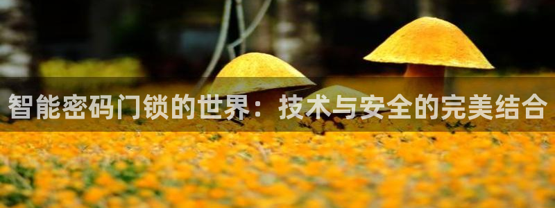 开丰娱乐登录注册：智能密码门锁的世界：技术与安全的完美结合