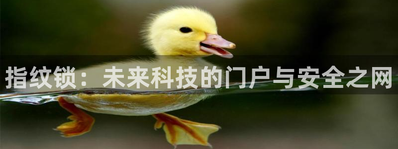 开丰娱乐线路：指纹锁：未来科技的门户与安全之网