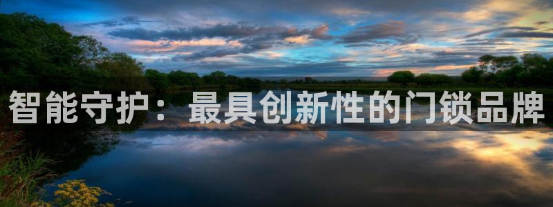 开丰娱乐平台地址在哪里：智能守护：最具创新性的门锁品牌