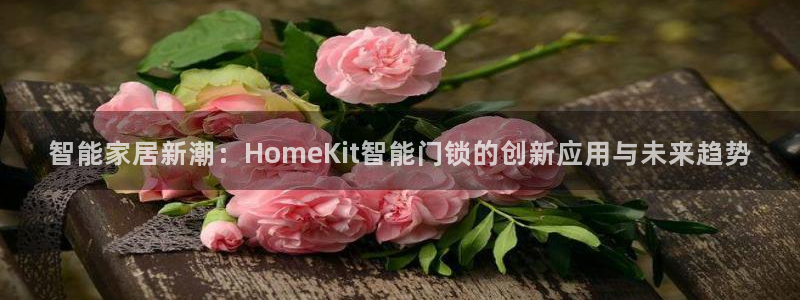 开丰娱乐平台地址：智能家居新潮：HomeKit智能门锁的创新