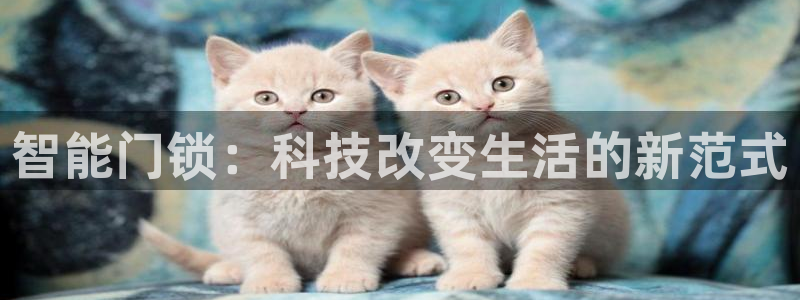 开丰娱乐app：智能门锁：科技改变生活的新范式