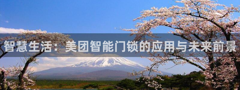 开丰娱乐app：智慧生活：美团智能门锁的应用与未来前景