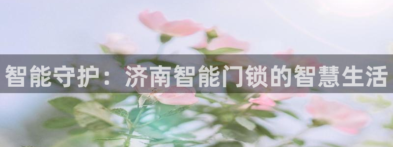 开丰娱乐登录注册：智能守护：济南智能门锁的智慧生活