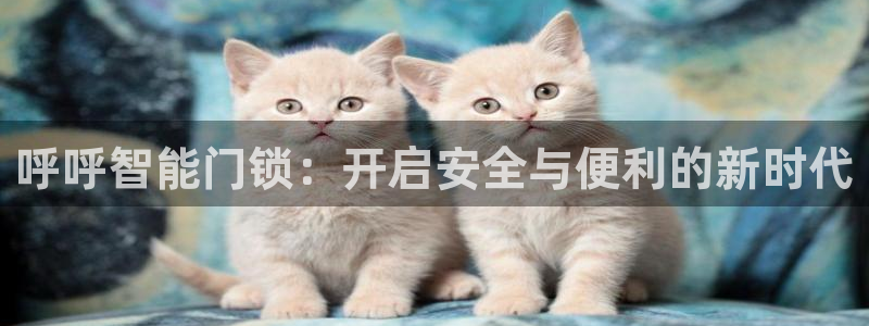 开丰娱乐登入地址在哪里：呼呼智能门锁：开启安全与便利的新时代