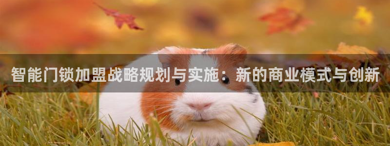 开丰娱乐官网平台电话：智能门锁加盟战略规划与实施：新的商业模