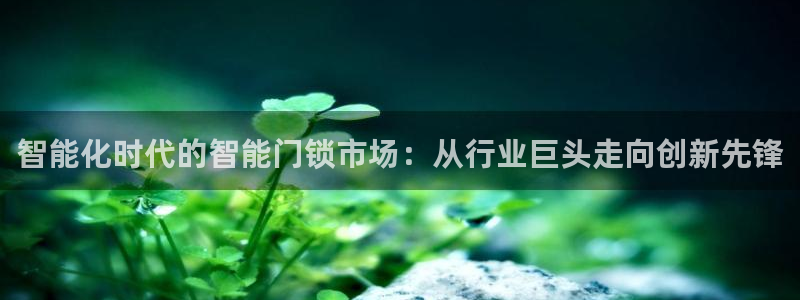 开丰娱乐新登录平台：智能化时代的智能门锁市场：从行业巨头走向