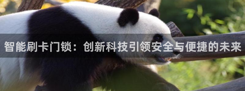 开丰娱乐注册自判官333OO：智能刷卡门锁：创新科技引领安全