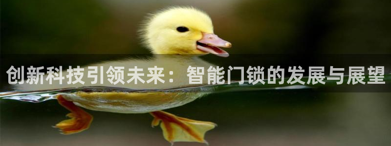 开丰娱乐山67五壹叁八：创新科技引领未来：智能门锁的发展与展