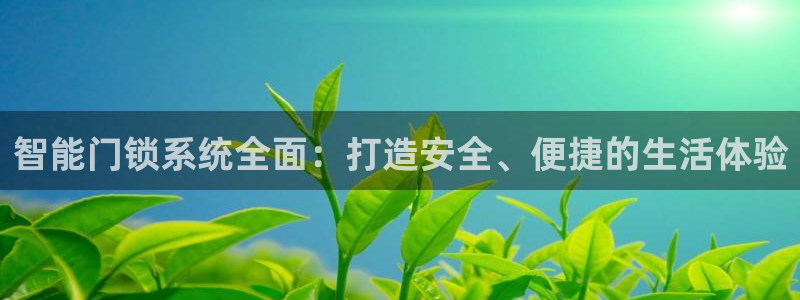 开丰娱乐平台注册：智能门锁系统全面：打造安全、便捷的生活体验