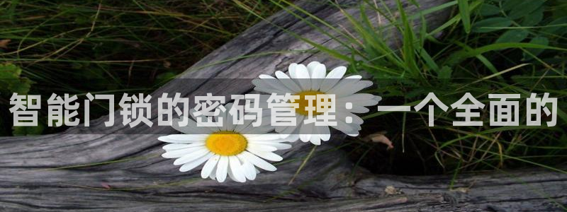 开丰娱乐平台地址：智能门锁的密码管理：一个全面的