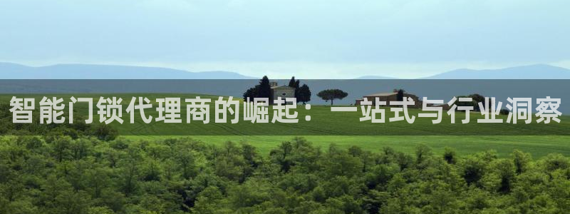 开丰娱乐登入地址在哪儿：智能门锁代理商的崛起：一站式与行业洞