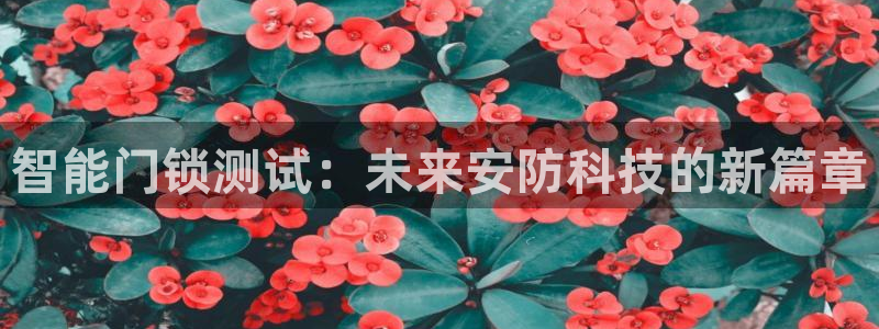 开丰娱乐2登录：智能门锁测试：未来安防科技的新篇章