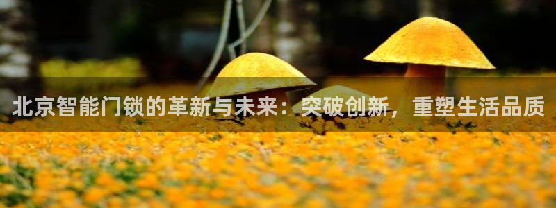 开丰娱乐不开了吗：北京智能门锁的革新与未来：突破创新，重塑生