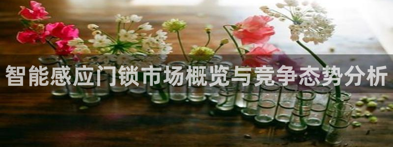 开丰娱乐科技：智能感应门锁市场概览与竞争态势分析