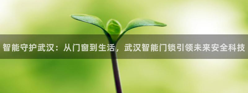 开丰娱乐千67五壹叁八：智能守护武汉：从门窗到生活，武汉智能