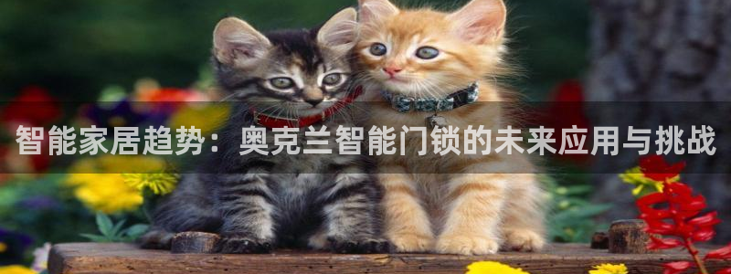 开丰娱乐千67五壹叁八：智能家居趋势：奥克兰智能门锁的未来应