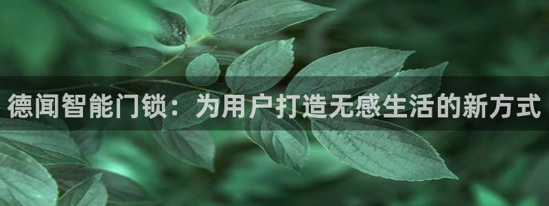 开丰娱乐官网最新消息：德闻智能门锁：为用户打造无感生活的新方