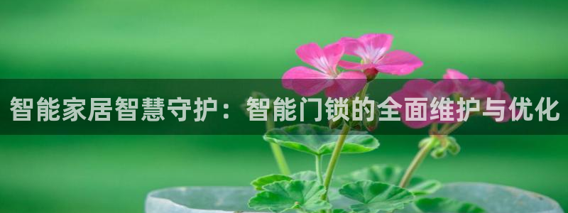 开丰娱乐网站官网：智能家居智慧守护：智能门锁的全面维护与优化