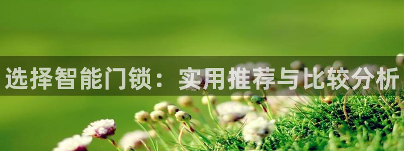 开丰娱乐下：选择智能门锁：实用推荐与比较分析