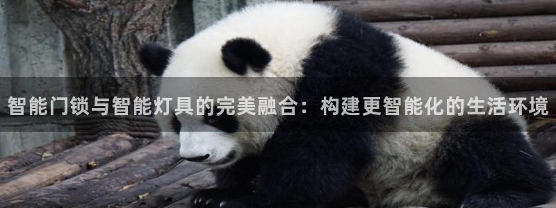 开丰娱乐违法吗：智能门锁与智能灯具的完美融合：构建更智能化的