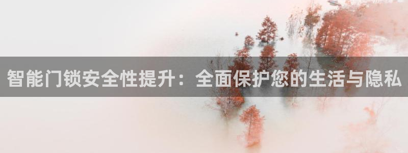 开丰娱乐日：智能门锁安全性提升：全面保护您的生活与隐私