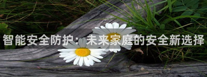 开丰娱乐：智能安全防护：未来家庭的安全新选择