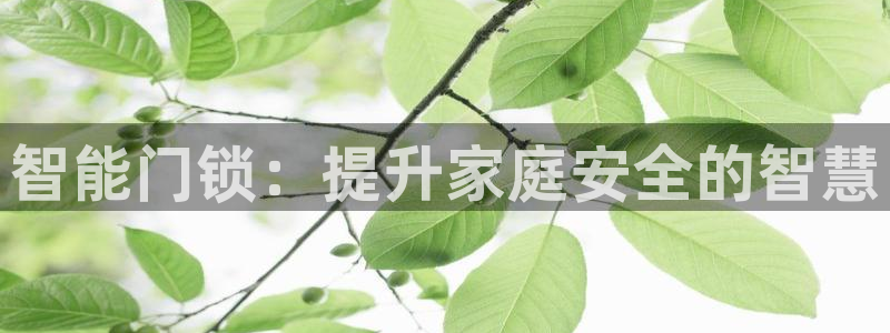 开丰娱乐万六七五一38：智能门锁：提升家庭安全的智慧