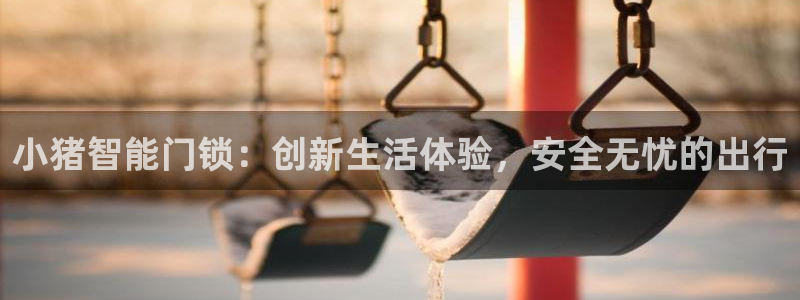 开丰娱乐登录平台下载：小猪智能门锁：创新生活体验，安全无忧的