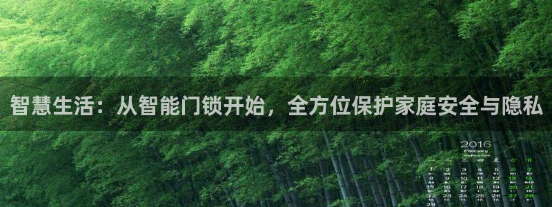 开丰娱乐寸67五壹叁八：智慧生活：从智能门锁开始，全方位保护