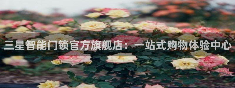 开丰娱乐官网：三星智能门锁官方旗舰店：一站式购物体验中心