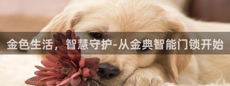 开丰娱乐67 5138：金色生活，智慧守护-从金典智能门锁开