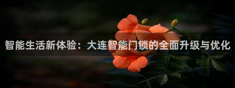 下载开丰娱乐：智能生活新体验：大连智能门锁的全面升级与优化