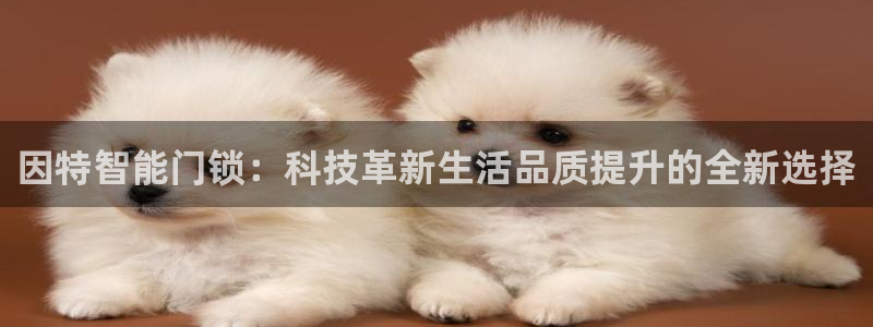开丰娱乐靠谱吗：因特智能门锁：科技革新生活品质提升的全新选择