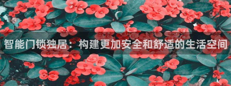 开丰娱乐登入地址是什么：智能门锁独居：构建更加安全和舒适的生