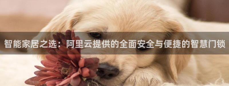 开丰娱乐平台地址查询：智能家居之选：阿里云提供的全面安全与便