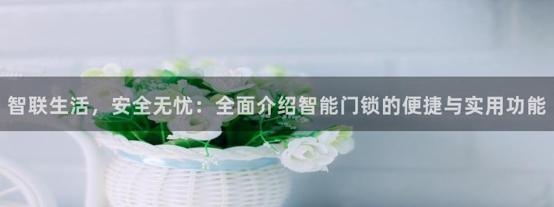 开丰娱乐网站官网下载：智联生活，安全无忧：全面介绍智能门锁的
