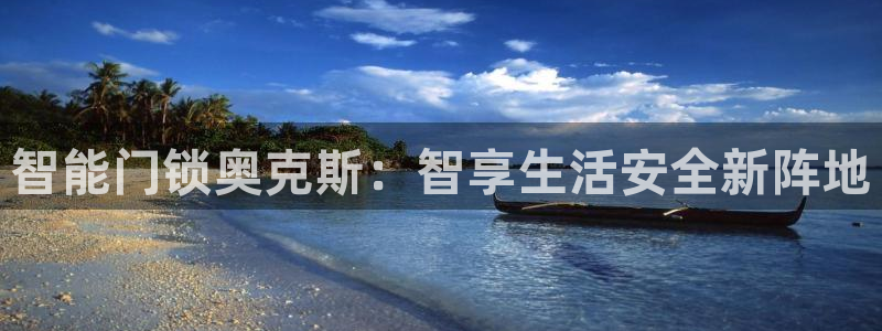 开丰娱乐若七九九：智能门锁奥克斯：智享生活安全新阵地