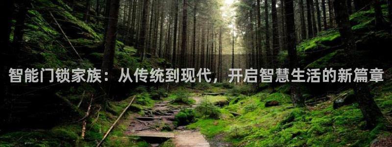 开丰娱乐登陆地址：智能门锁家族：从传统到现代，开启智慧生活的