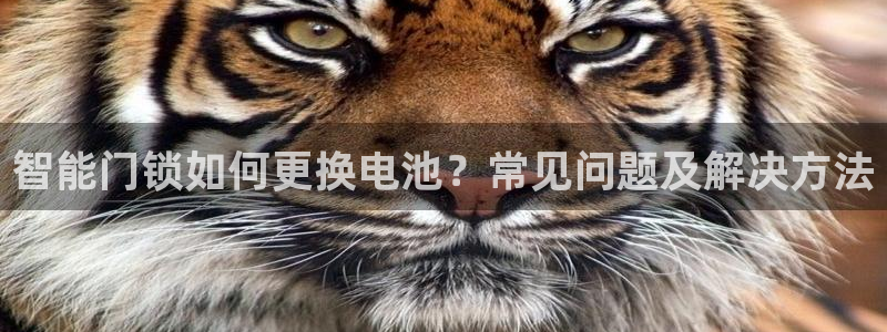 开丰娱乐主管：智能门锁如何更换电池？常见问题及解决方法