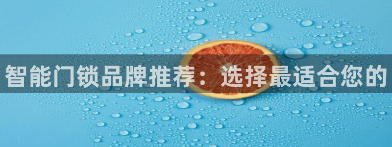 开丰娱乐与六七五一38：智能门锁品牌推荐：选择最适合您的