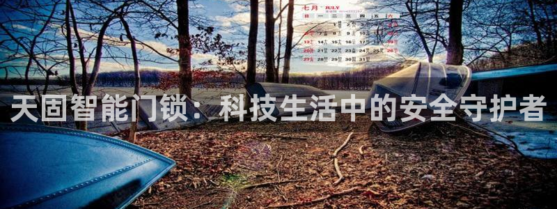 开丰娱乐行业恢复时间：天固智能门锁：科技生活中的安全守护者