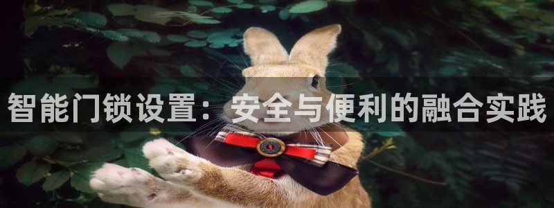 开丰娱乐平台地址在哪里：智能门锁设置：安全与便利的融合实践