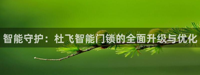 开丰娱乐手机app：智能守护：杜飞智能门锁的全面升级与优化